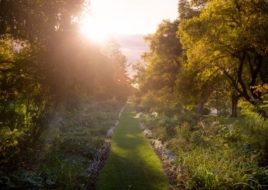 Path in Garden